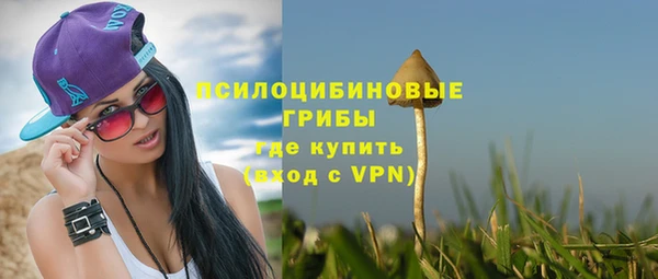 альфа пвп Семикаракорск