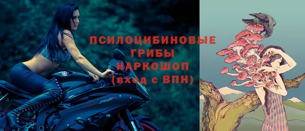 трава Слюдянка